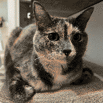 Toast — HR Director